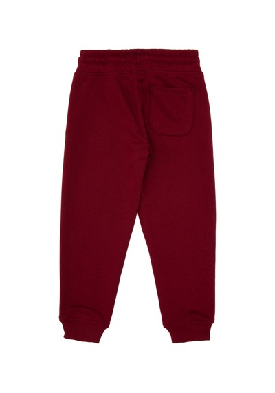 U.s. Polo Assn. Erkek Çocuk Bordo Eşofman Altı 50307709-vr014 Bordo
