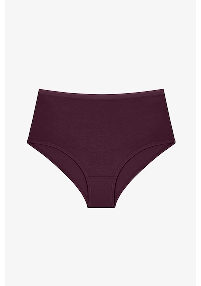Penti Dark Mauve Yüksek Bel 5li Slip Külot Çok Renkli