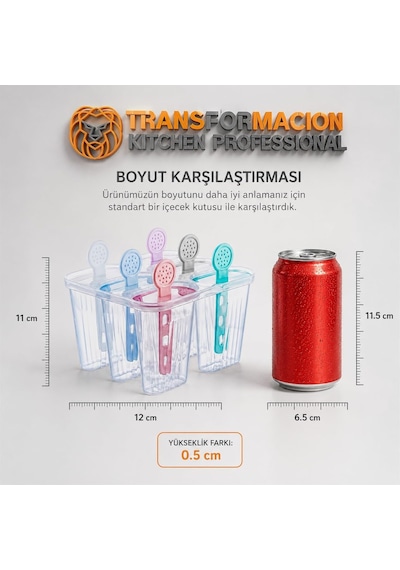 Transformacion 6'li Dondurma Ve Meybuz Kalıbı / Zindeliklı Ev Yapımı Atıştırmalık Seti 721454 Diğer