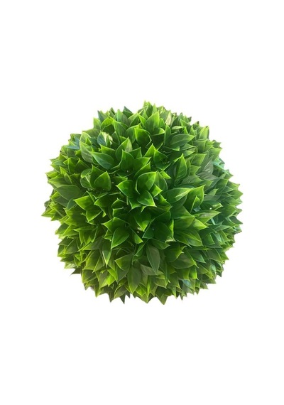 T.concept Dekoratif İri Yapraklı 30 Cm Şimşir Top Yeşil