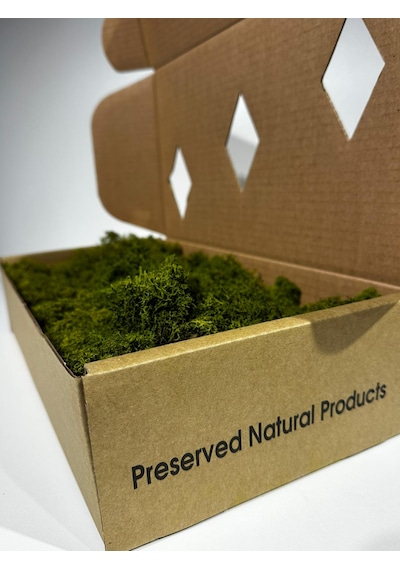 Reindermoss Şoklanmış Norveç Yosunu Terarium Yosunu Midium Green 100 Gr.