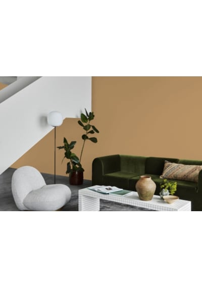 Jotun Masala 10428 Fenomastic Güzel Evim Serisi Zengin Mat