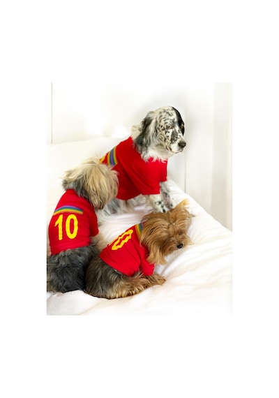 Kemique Uno Red Köpek Tişörtü