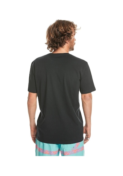 Quiksilver Eqyzt07657 Mw Mini Logo Ss Erkek Tişört 001