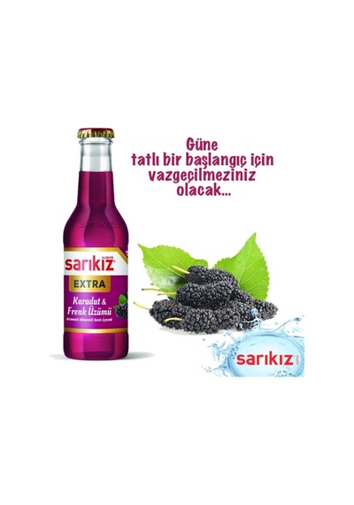 Karadut & Frenk Üzümü Soda 200 Ml 24 Lü