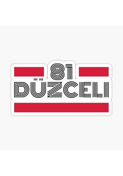 81 Düzceli Plaka Araba Sticker Yapıştırması