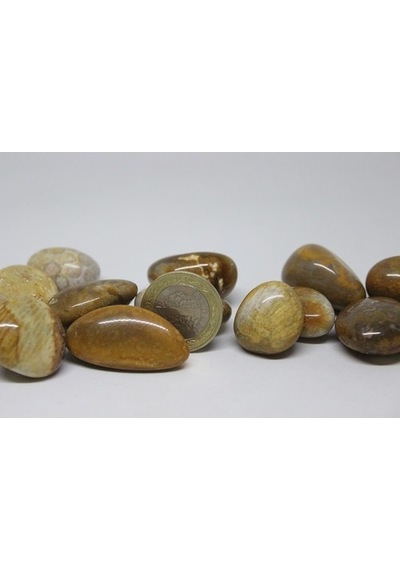 Tibet Akik Taşı ( 10-19 Gram)