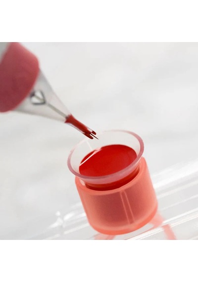 Perma Blend Tina Davies Orange Coral Kalıcı Makyaj Dudak Pigmenti 15ml