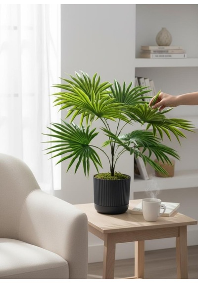 Yapay Salon Bitkisi Fan Palmiye 50 40cm 8yaprak Plastik Antrasit Saksıda Yeşil