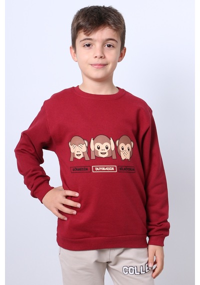 Hçm Erkek Çocuk Şardonlu Sweat Karakter Baskılı Ribanalı E34 Bordo