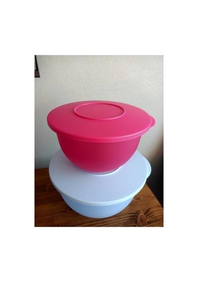 Eko Saklama Kabı 2,5lt-4,3lt Pembe Mavi Eko2li Mavi Pembe