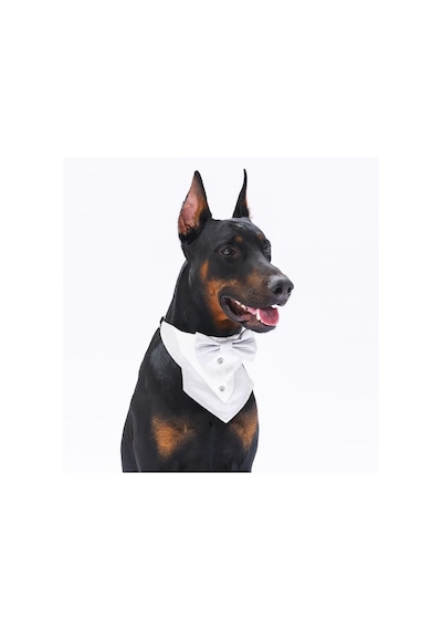 Pawstar Gri Smokin Kedi Köpek Fuları Pet Bandanası