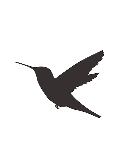 Kuş Folyo Sticker Derstv929 100cm Uzunluk Siyah