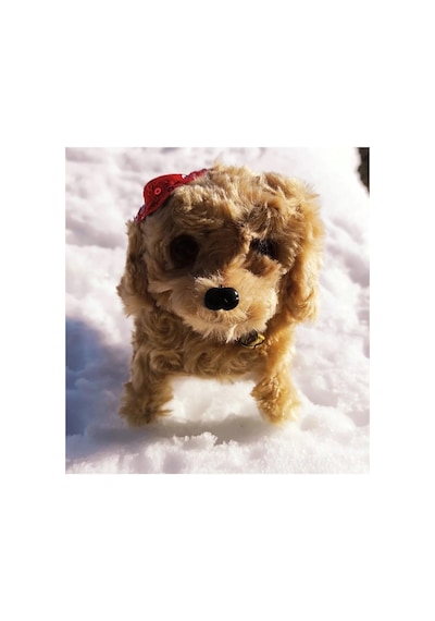 Karamel Renkli Havlayan Yürüyen Pufuduk Pilli Köpek Oyuncak - Peluş Oyuncak Karamel