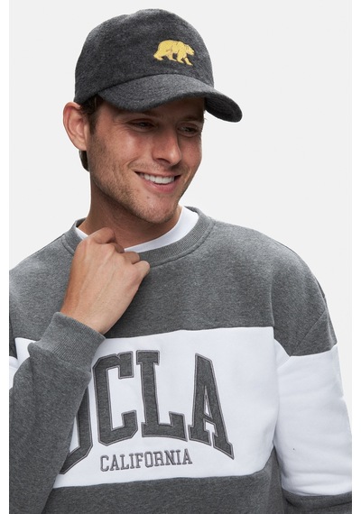 Ucla Archer Koyu Gri Bisiklet Yaka Nakışlı Loose Fit Erkek Sweatshirt Koyu Gri