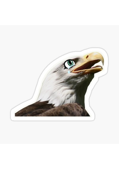 Araba Için Kartal Oto Sticker Yapıştırması Etiket 17Cm Aa2