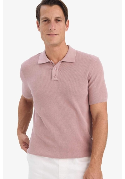 DeFacto %100 Pamuk Standart Fit Polo Yaka Kısa Kollu Triko Tişört E5866AX25SPPR347