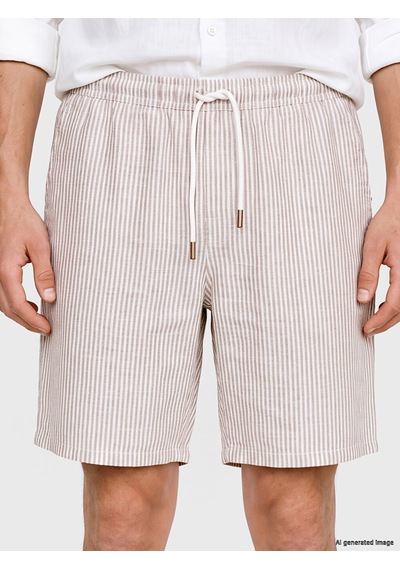 Lc Waikiki Lc Waıkıkı Kahverengi Regular Fit Çizgili Erkek Şort