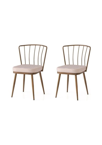 Erezogullari_Mobilya Modern Mutfak Cafe Bahçe Sandalyesi Buse 2 Li Set