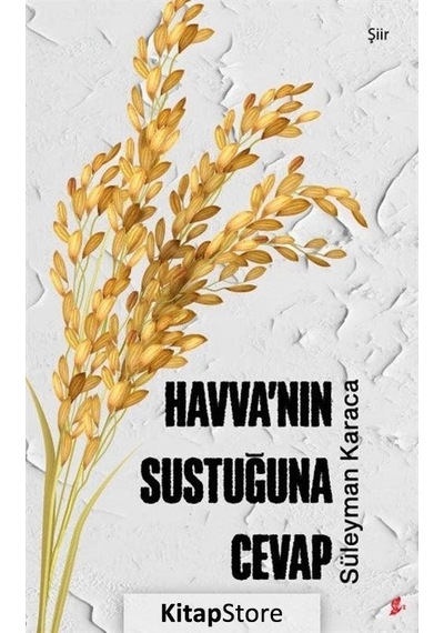 Havva'nın Sustuğuna Cevap - Süleyman Karaca - Okur Kitaplığı