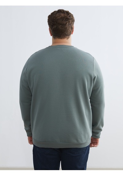 Lcwaıkıkı Classic Yeşil Büyük Beden Bisiklet Yaka Baskılı Erkek Kalın Sweatshirt