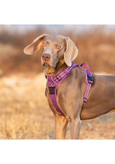 Köpek Koşum Takımı, Çekmez, Ayarlanabilir, Yansıtıcı, Yumuşak Naylon, Küçük Ve Büyük Evcil Hayvanlar İçin, Tlh56512 S, Mor