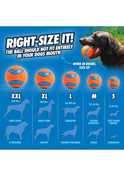 Ayrex Chuckit Ultra Ball Köpek Oyun Topu Medium