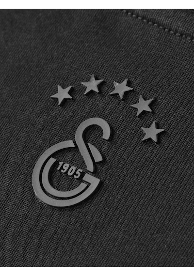 Gsstore Galatasaray Erkek T-shirt E252099 Siyah