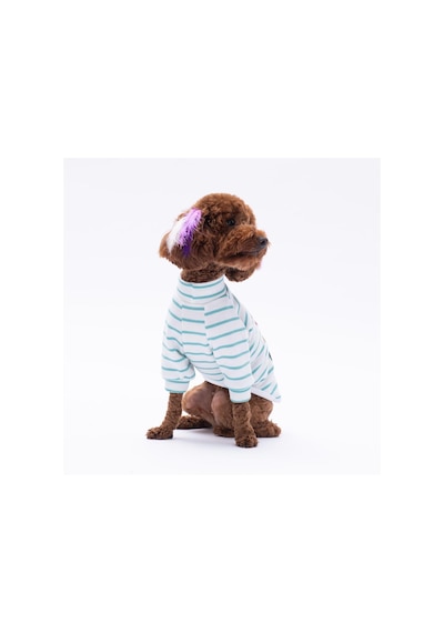 Yeşil Bear With Me Baskılı Triko Sweat Kedi Köpek Sweat Kedi Köpek Kıyafeti