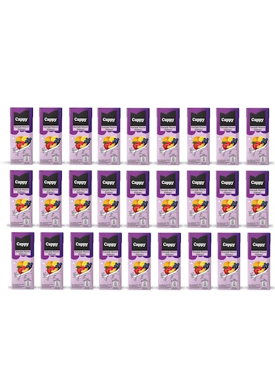 Cappy Karışık Meyve Nektarı 200 Ml X 27 Adet