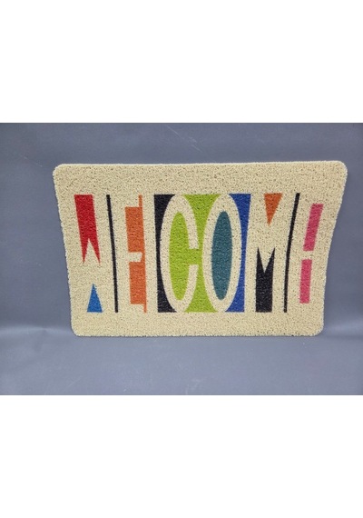 Hijyenik Kıvırcık Paspas 40x60 Cm - Islaklık Emici Kapı Önü Paspası Çok Renkli