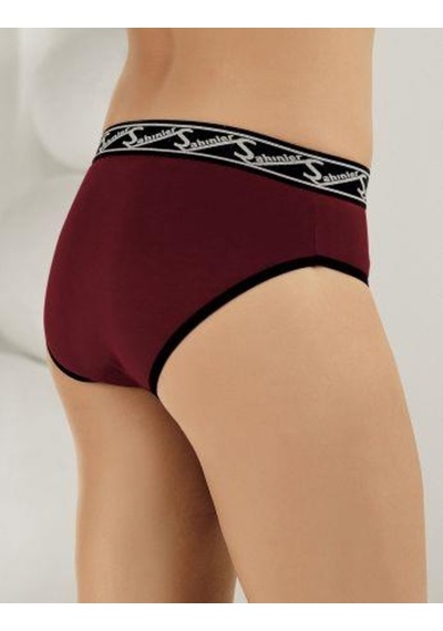 6 Lı Paket Şahinler Bayan Likralı Bikini Külot B3084