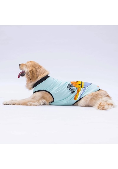 Pawstar Mint Sunrise Büyük Köpek Tişörtü Köpek Kıyafeti