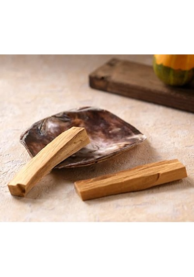 Wish Kit Placuna Enerji Başlangıç Seti : Palo Santo Tütsü Ve Placuna Deniz Kabuğu Tütsülük