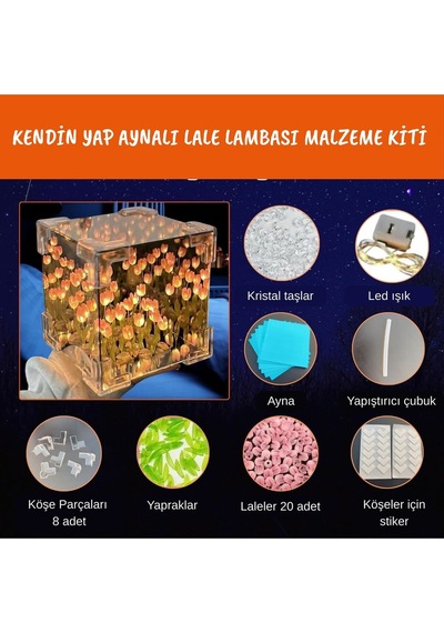 Aynalı Lale Gece Lambası Romantik Lale Gece Lambası Dıy Kendin Yap Çok Renkli