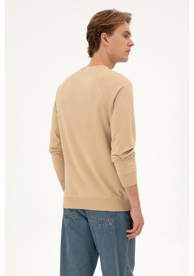 U.S. Polo Assn. Erkek Regular Fit Bisiklet Yaka Kum İnce Basic Sweatshirt 50313752-VR085 U.S. Polo Assn. Erkek Regular Fit Bisiklet Yaka Kum İnce Basic Sweatshirt 50313752-VR085