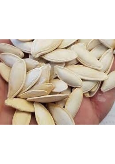 100 Adet Tohum Organik Çekirdeklik Nevşehir Kabak Tohumu Hobi Bah