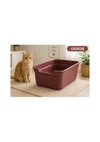 Bordo Renkli Açık Geniş Kedi Tuvaleti - Kolay Temizlenebilir Açık Bej