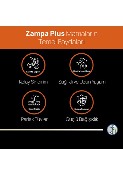 Zampa Plus Premium Tavuk Etli Yetişkin Kediler İçin Kuru Mama 1500 G