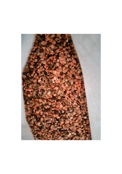 10 Kg Kırmızı Mercimek Yeşil Mercimek Karışık