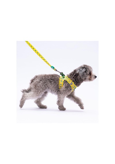 Pawstar L16 Cactus Sevk Kayışı Çok Renkli