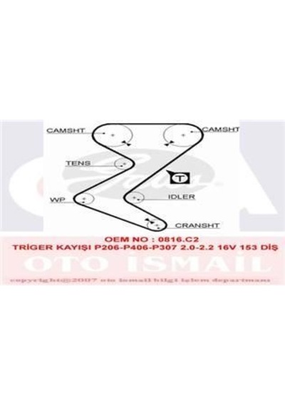 GATES 5528XS TRIGER EKSANTRIK KAYISI 206 307 406 407 607 / XSARA