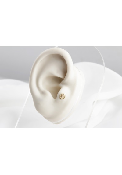 Glorria Altın D Harfi Tragus Piercing 87803336