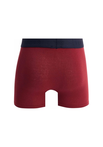 Tudors Erkek 5'li Pamuklu Likralı Esnek Kumaş Boxer-32937 Multi