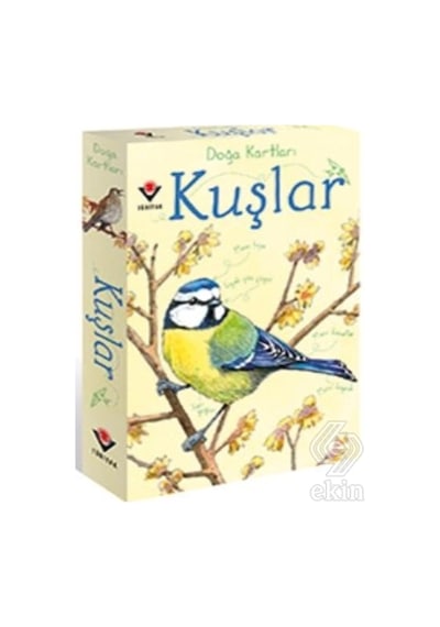Doğa Kartları  - Kuşlar  - Emily Bone  - Tübitak Yayınları