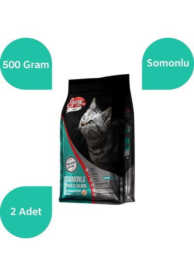 Energy Somonlu Yetişkin Kedi Maması 2 x 500 G