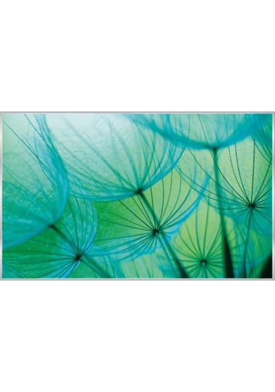 Poster Duvar Kağıdı 585 4 Parça 2.54mt X 1.84mt Renkli