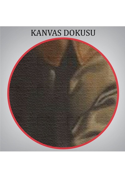 Es10 Flamenko Yapan Kadın Tablosu LED IŞIKLI RUSTİK kanvas tablo O (50 x 70)