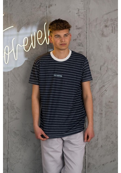 Reguler Fit Bisiklet Yaka Likralı Çizgili Erkek Yazlık T-shirt 001