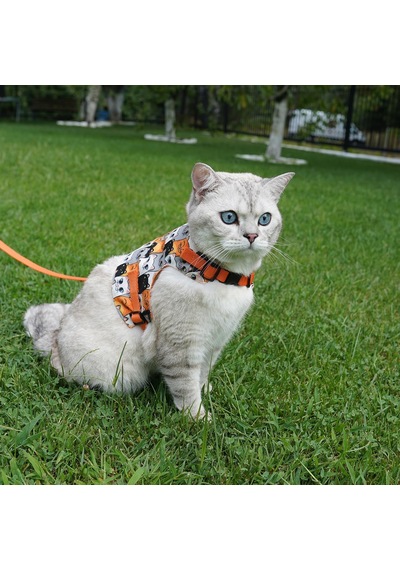 Kaçış Önleyici Kedi Gezdirme Tasması Ve Küçük Irk Köpek Gezdirme Tasması S, Turuncu Kedi Desenli